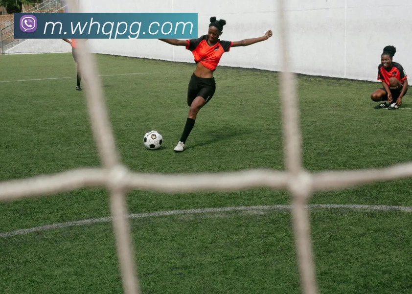 App Interface Preview